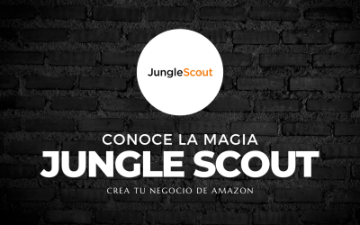 Jungle Scout para Vendedores de Amazon [ Reseña Completa ]